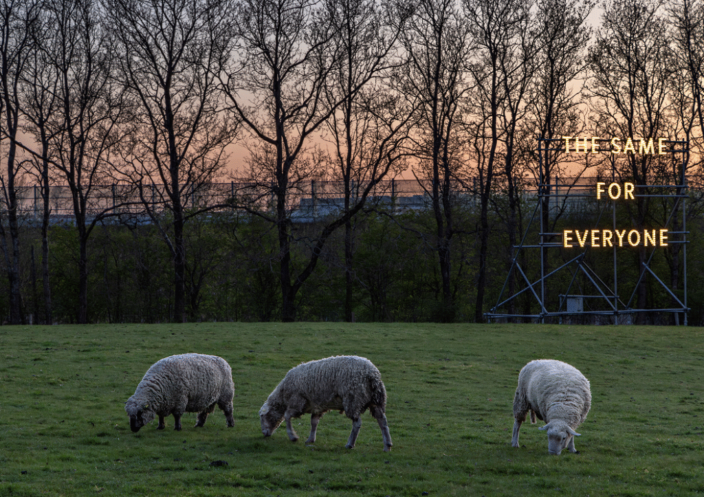 Rectangle 31